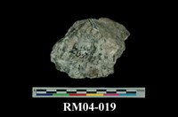 藏品(眼球片麻岩)的圖片